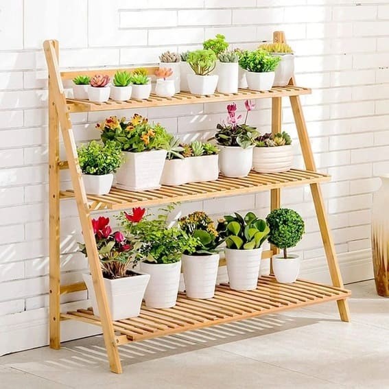 Sunshine Ladder Plant Display