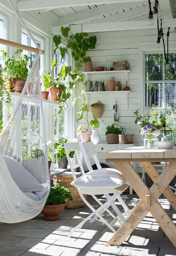 Plant Haven: Your Green Thumb’s Sunroom Dream