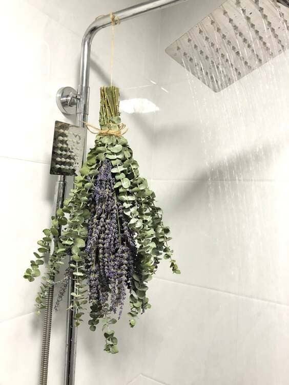 Hang a Eucalyptus Shower Bundle.