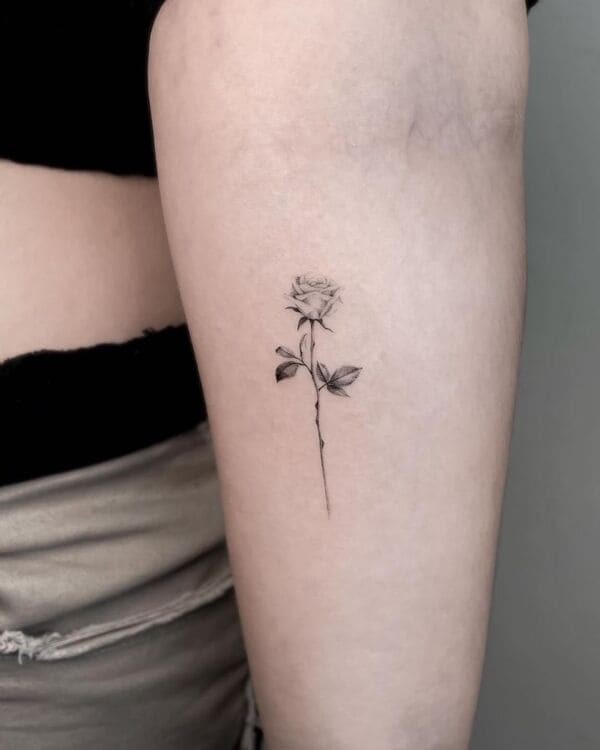 Rose Tattoo