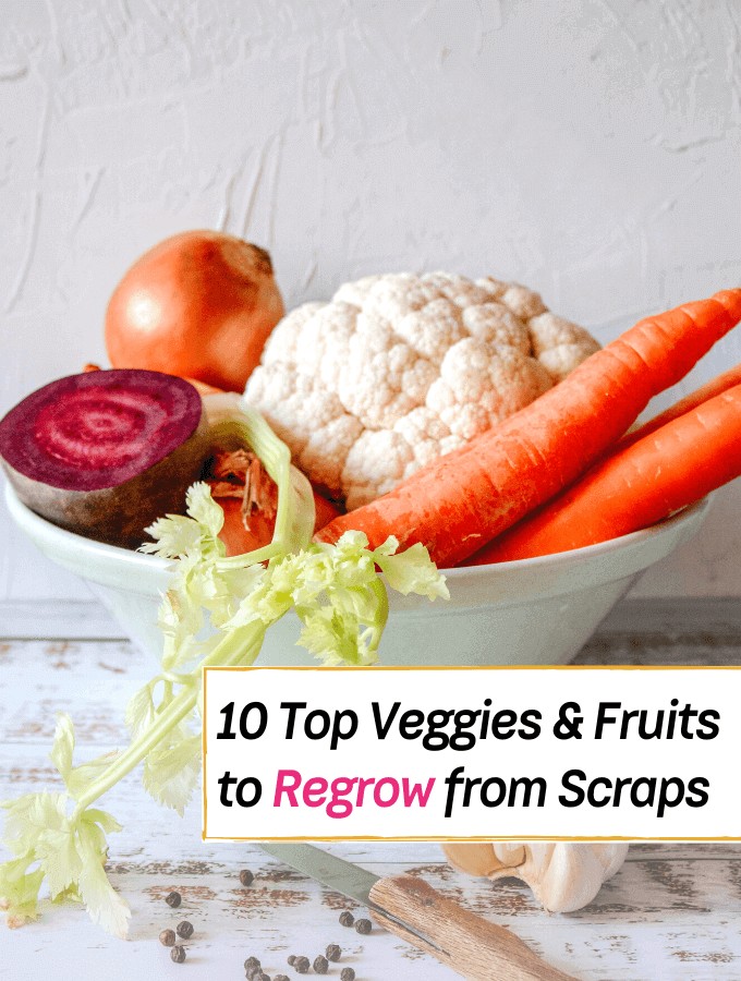 10 Easy Veggies & Herbs To Regrow From Kitchen Scraps