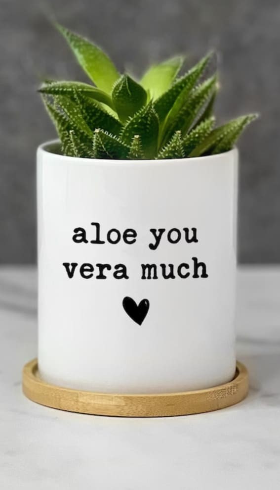 Cheeky Charm: “Aloe You Vera Much” Planter