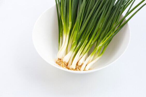 How to regrow Green Onions in a jar.