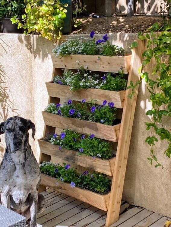 Blossom Ladder Shelf