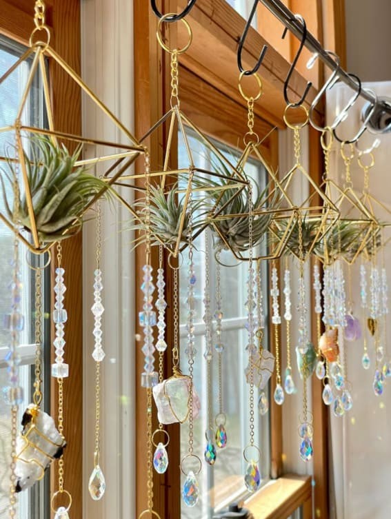 Air Plant Floating Garden with Suncatchers