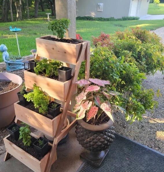 Herb Garden Delight 3-tiered Shelf