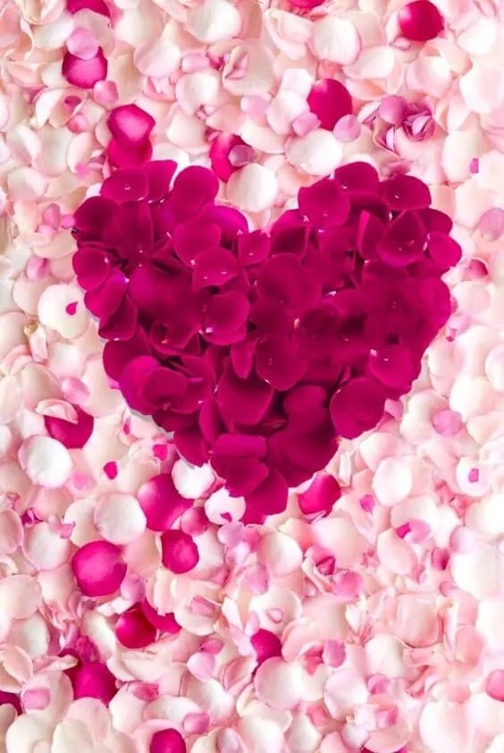 heart rose petals