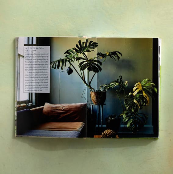 Green Thumb’s Guide: The Terrain Houseplant Book