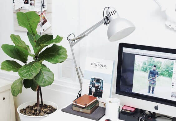 Get office plants – Plants have a natural calming effect that boosts productivity.