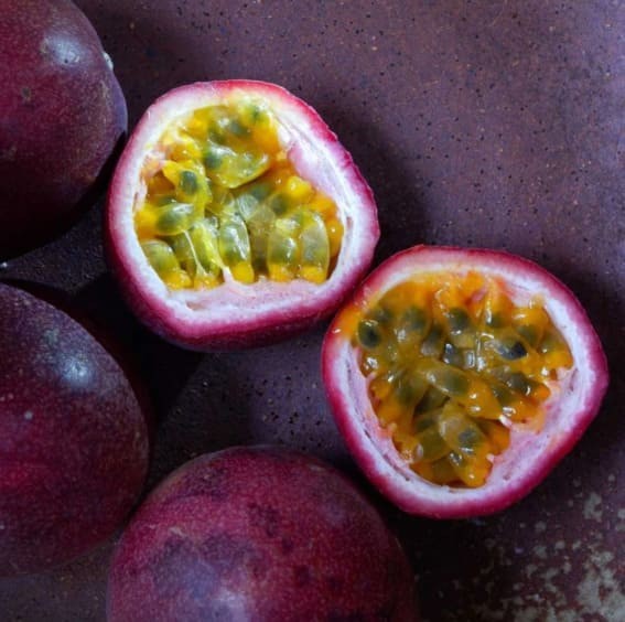 Passion Fruit (Passiflora edulis)