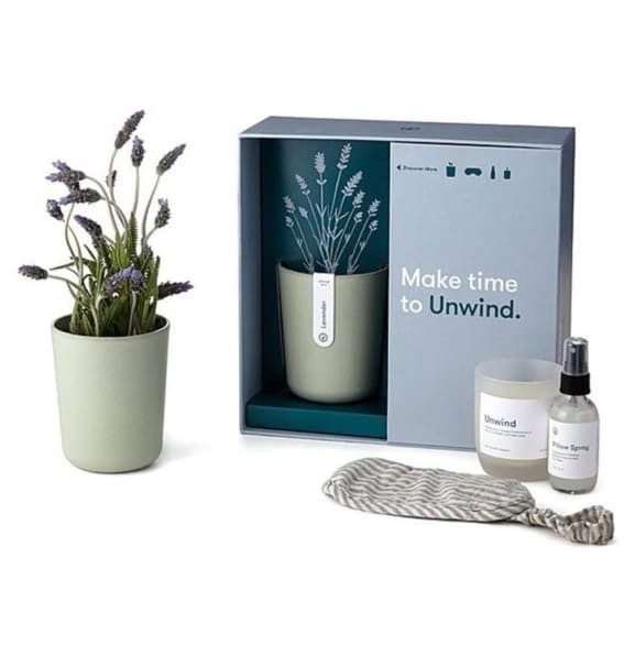 Serenity Set: Lavender Plant and Relaxation Kit