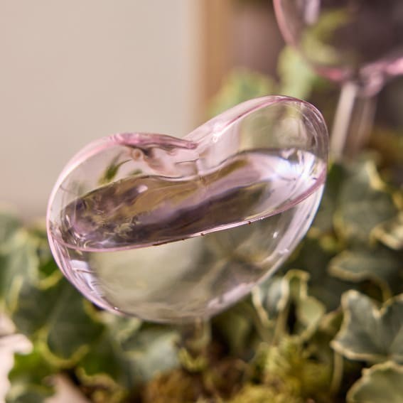 Love’s Blossom: Heart-Shaped Self-Watering Globes