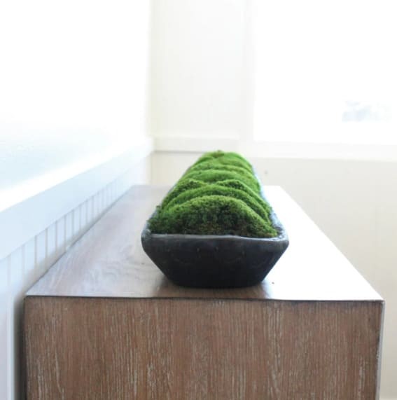 Minimalist Green: A Touch of Moss in a Dough Bowl