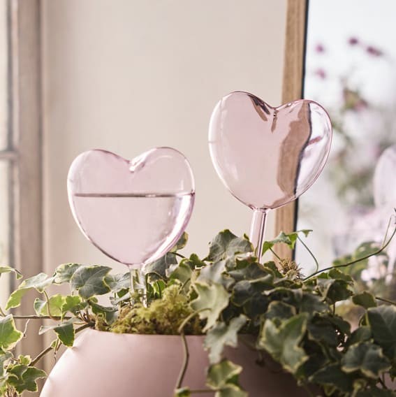 Love’s Blossom: Heart-Shaped Self-Watering Globes