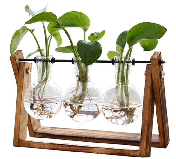 Rustic Plant Rooting Vase Stand