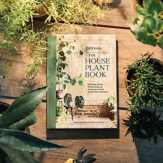 Green Thumb’s Guide: The Terrain Houseplant Book