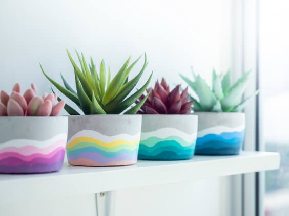 Crafting beautiful Cement Planters.