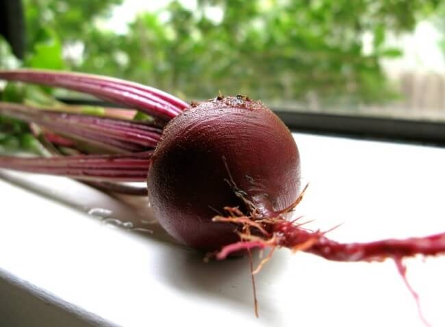 How to regrow beet greens: