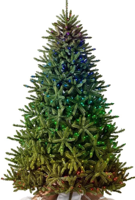 Luminous 6-foot Blue Spruce Spectacle