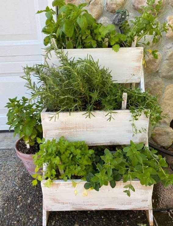 Herb Garden Delight 3-tiered Shelf