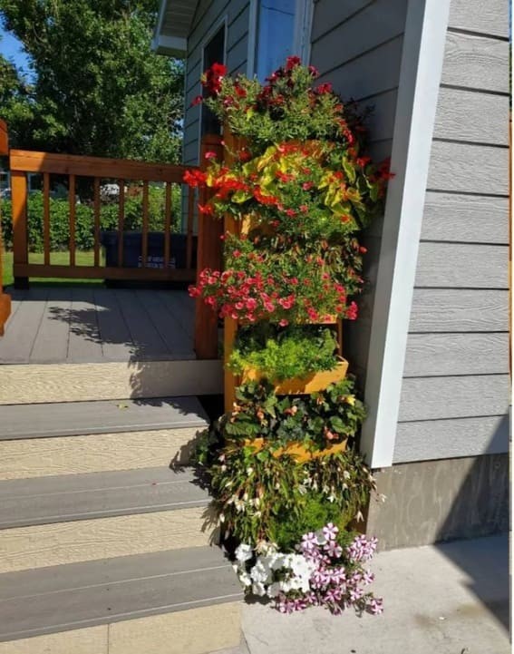 Blossom Ladder Shelf