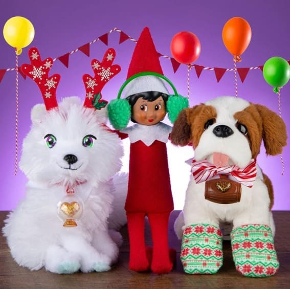 Elf’s Festive Furry Friends