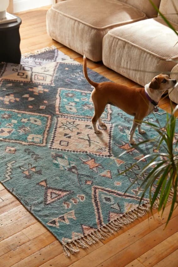 Ground the room with a rug