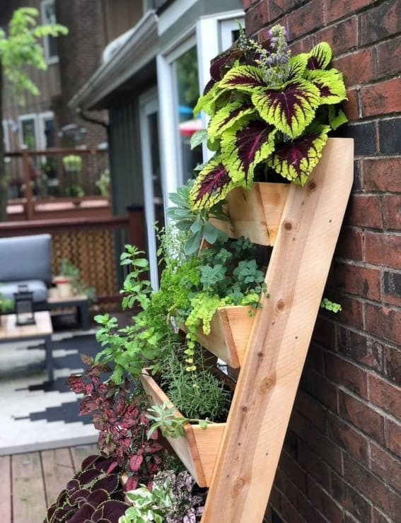 Blossom Ladder Shelf