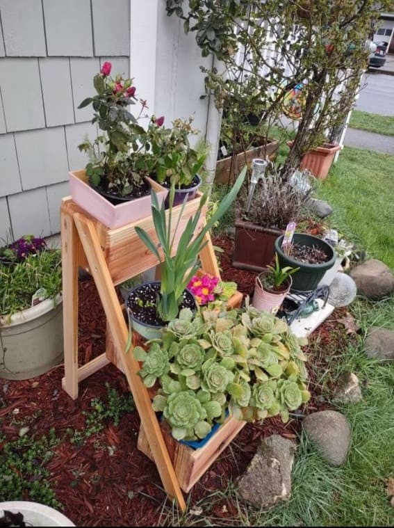 Herb Garden Delight 3-tiered Shelf