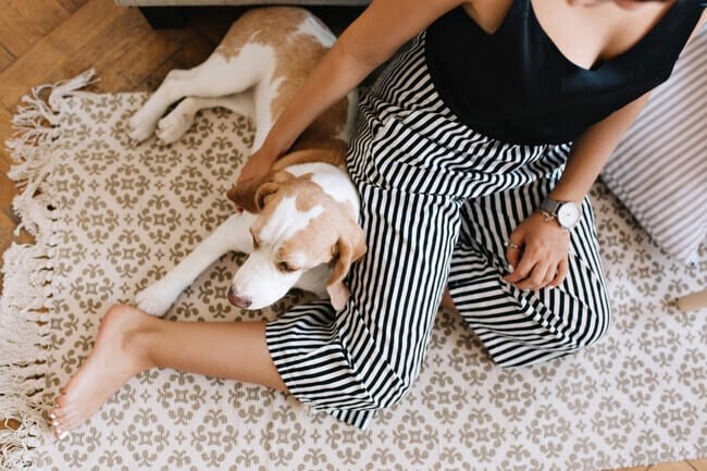 Get pet-friendly rugs to reduce extra noise.