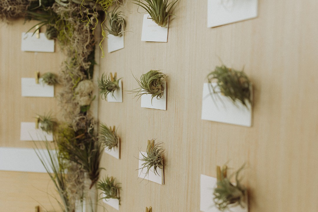 Got more wedding ideas for how to use potted plants in your wedding? Tell us in the comments!