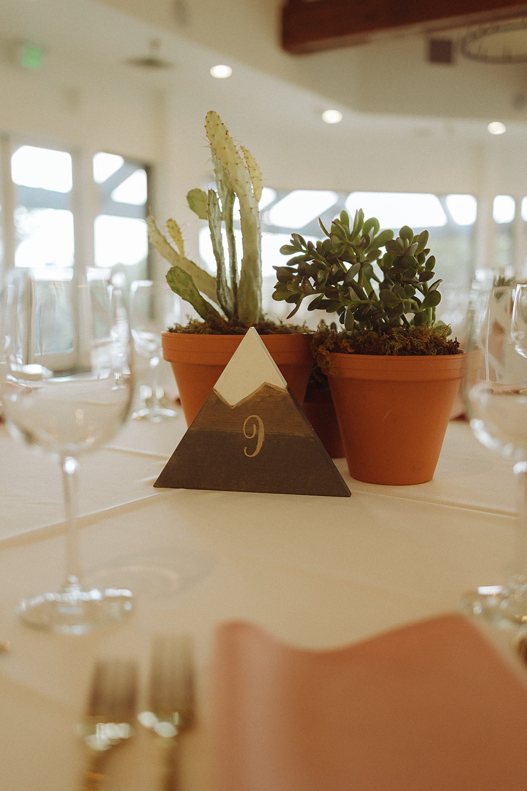 1) Use succulents and cacti as wedding centerpieces at your reception tables.