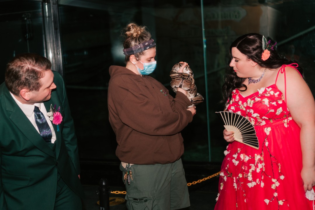 They even got to do a few animal encounters during their reception—both the couple and their guests got up close and personal with an iguana and a boa constrictor!