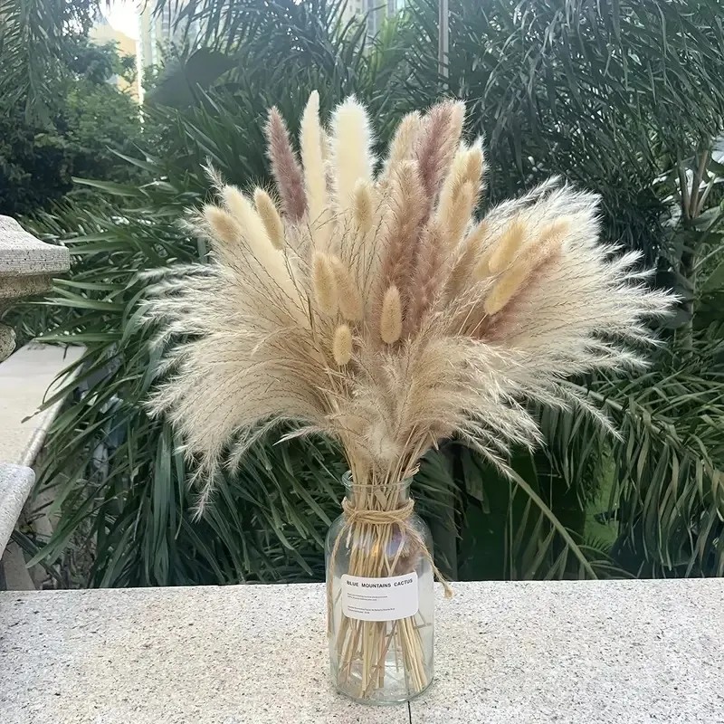 50pcs Natural Dried Pampas Grass