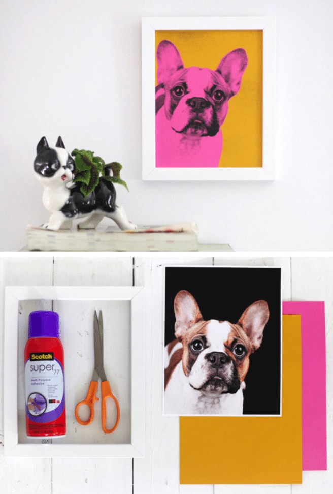 Transform The Picture of Your Loving Pet Artistically