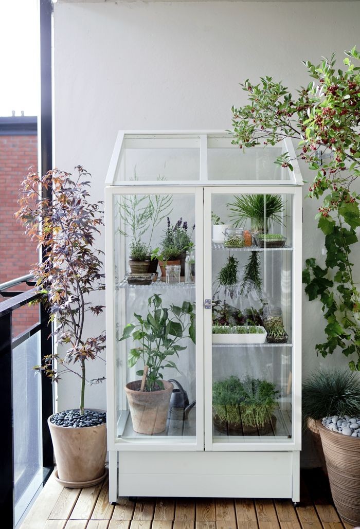 Small Greenhouse