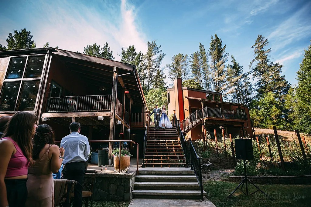 The redwood wedding processional