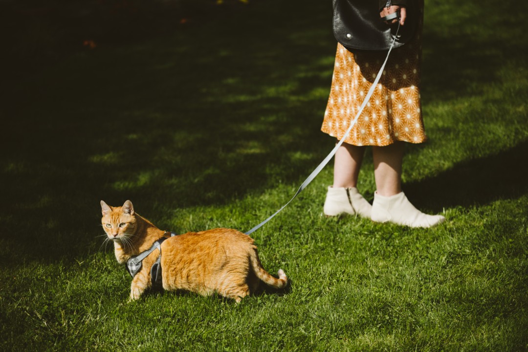 Tell us about the intimate Seattle micro-wedding ceremony: