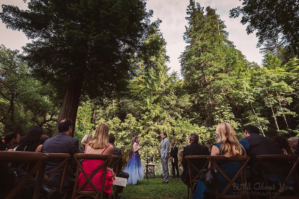 Our redwood wedding at a glance: