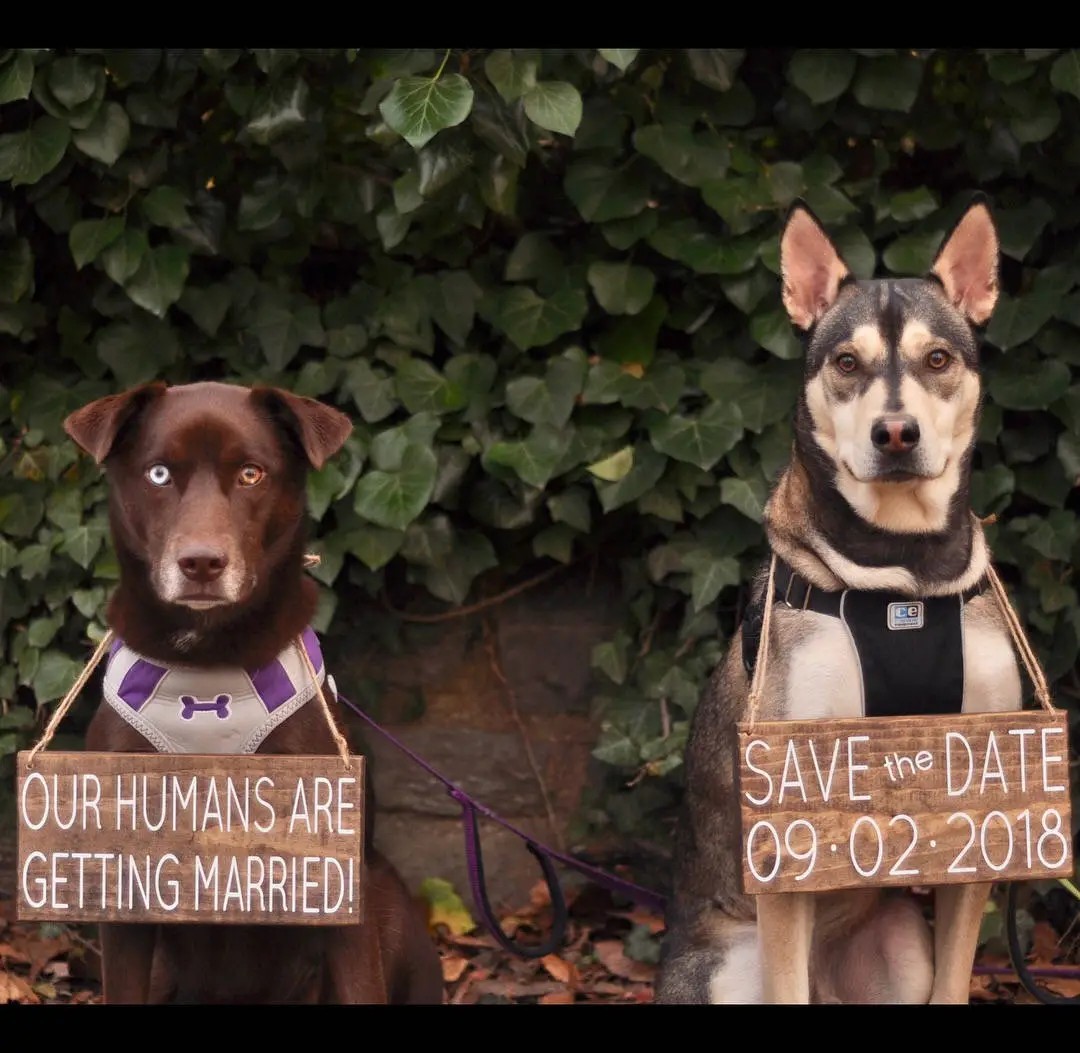 Have them star in your save-the-dates