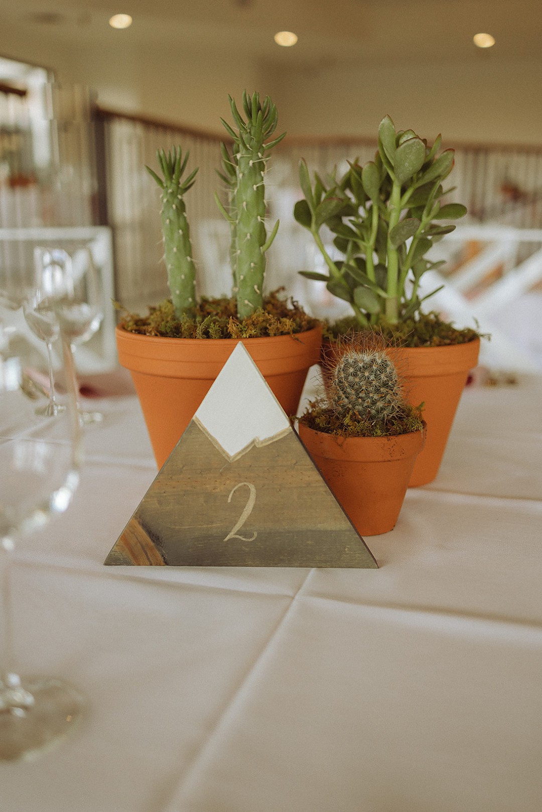 1) Use succulents and cacti as wedding centerpieces at your reception tables.