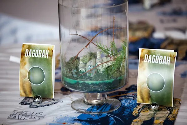 This wedding had a Hoth terrarium too, but are you seeing this Dagobah one tho?