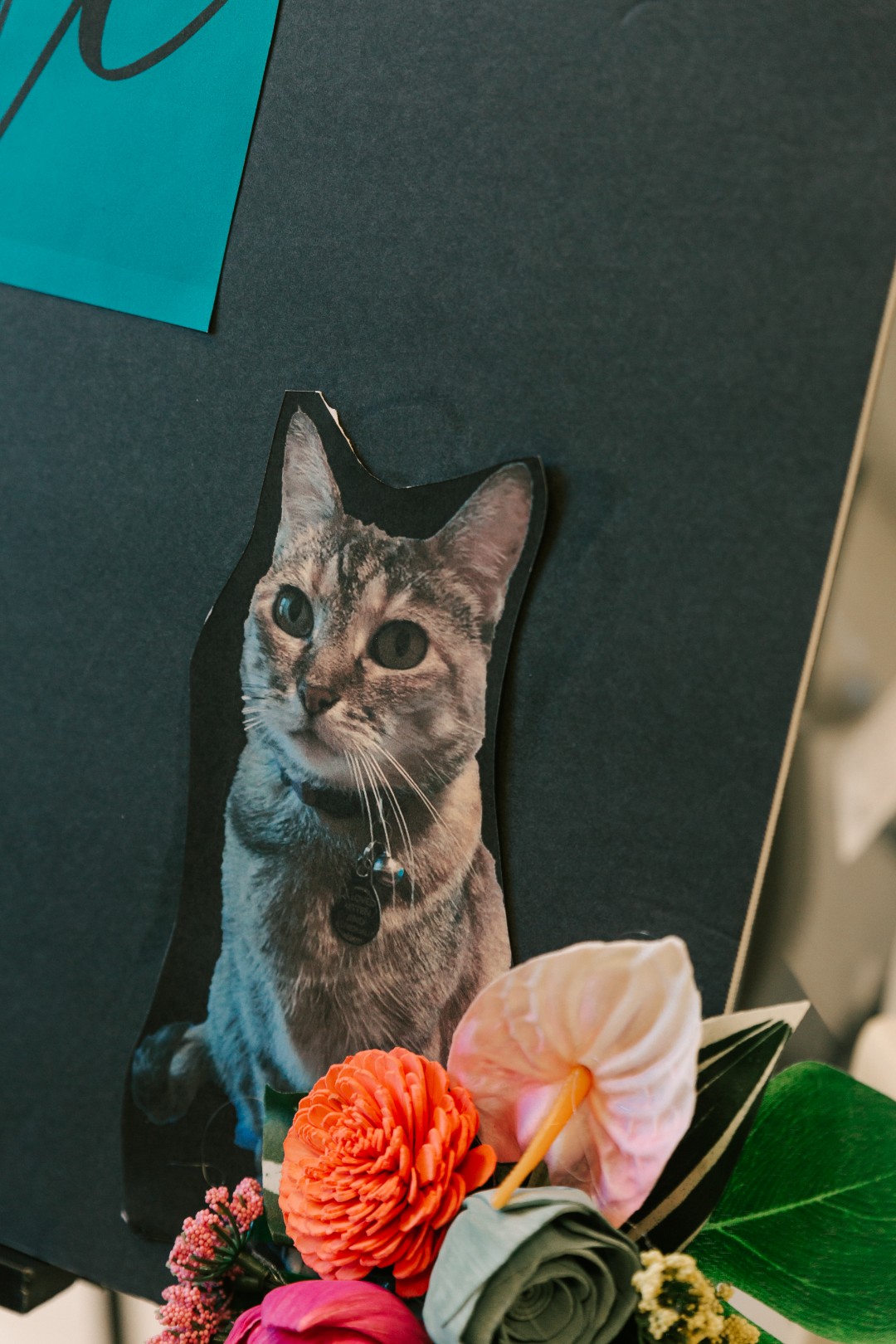 Danya and Chris had an intimate DIY wedding with vibrant hues that suited their personalities perfectly. They are both huge animal lovers, so having the zoo be their wedding venue just made sense. So did featuring their adorable cat in many aspects of their wedding theme decor! Don