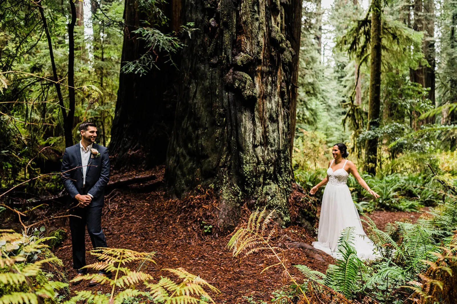 Oregon Redwoods