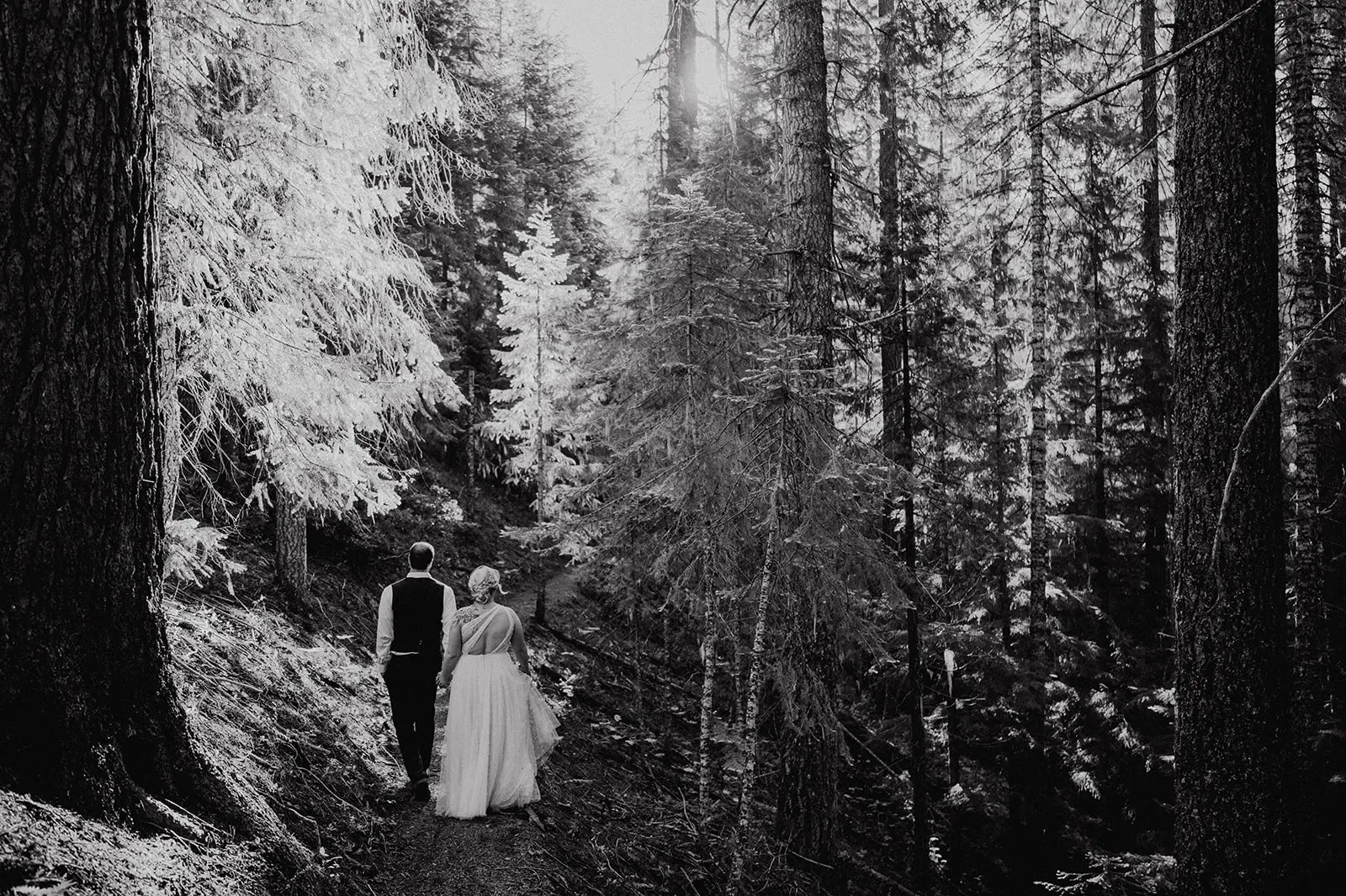 Gallery of this Crater Lake elopement